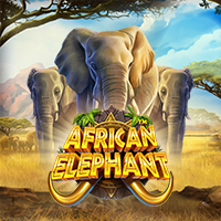 African Elephant African Elephant
